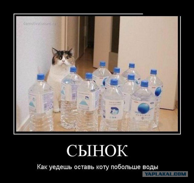 Веселые картинки