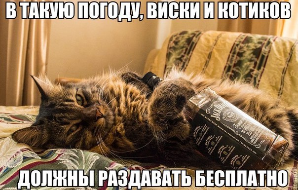 Подборка прикольных фото на пятницу