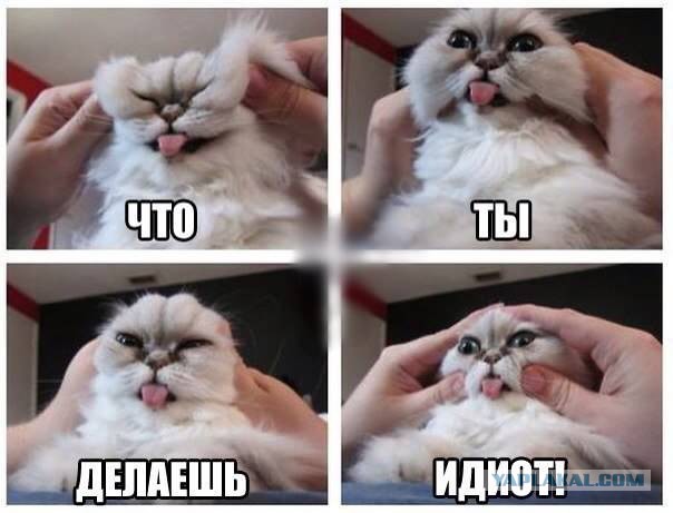 Абсурдный юмор