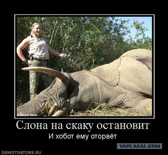 Девушки в образе авто