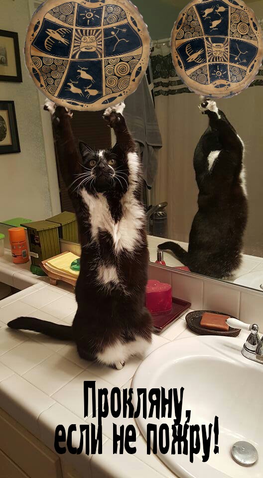 Фотожаба: «Сдающаяся» кошка