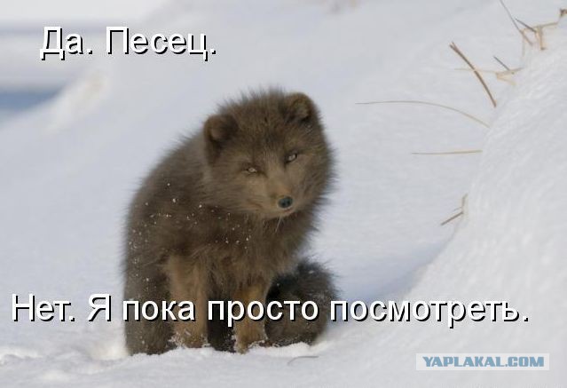 Подборка "баянов" со всего интернета