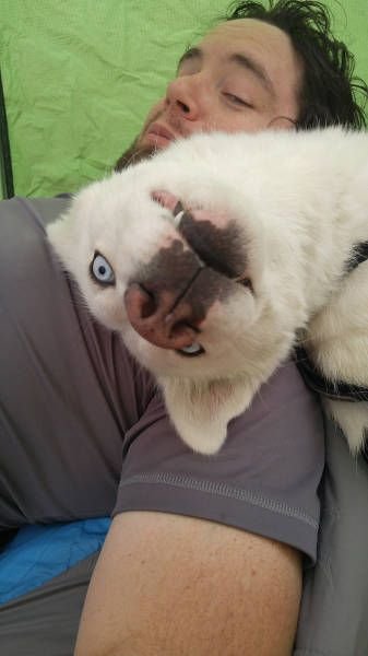 Подборка интересных и смешных картинок