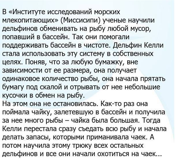 Подборка интересных и веселых картинок