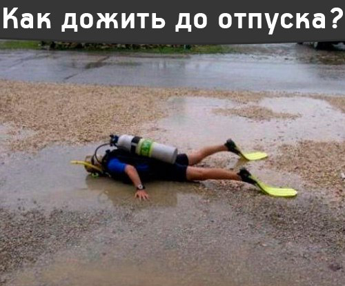 Подборка интересных и веселых картинок