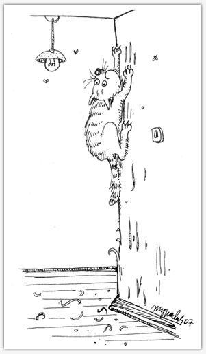 Правила поведения кошек (9 правил)