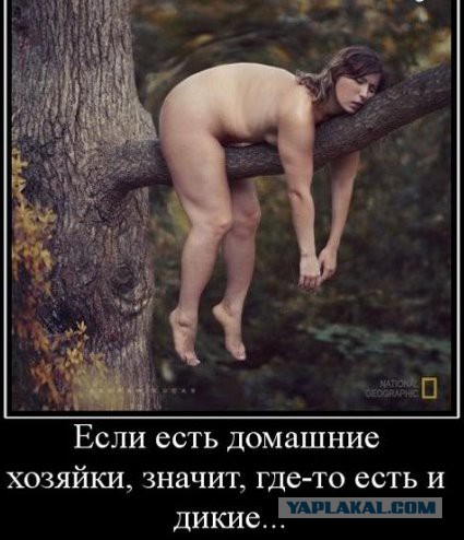 Юмор не для всех