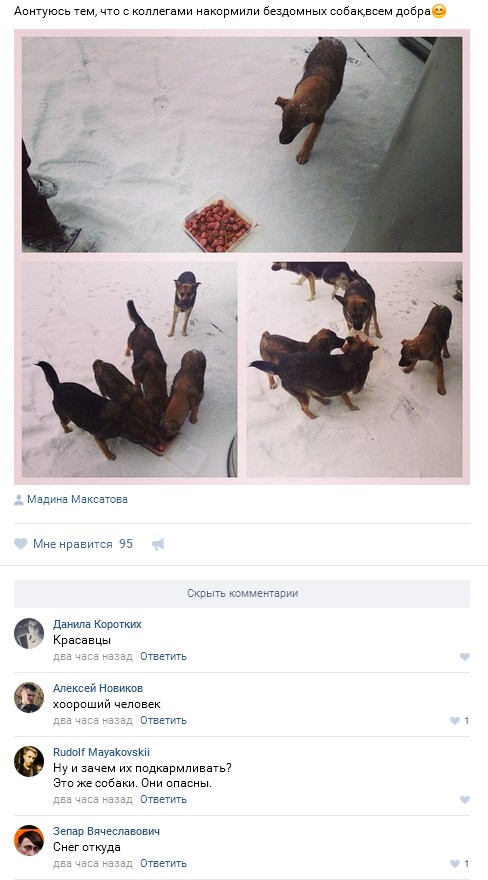 Ужасы и приколы из соцсетей 18+