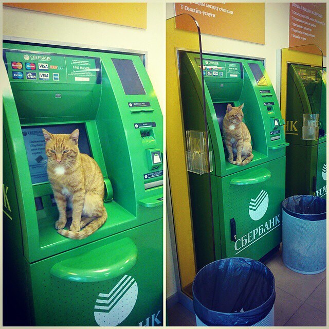 Всегда шевелите картридер! Не попадитесь на мошенничество!