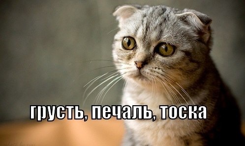 Биатлон. Сезон 2016/2017. Часть 3. Нове-Место.