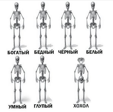 Политические комментарии и картинки из соцсетей