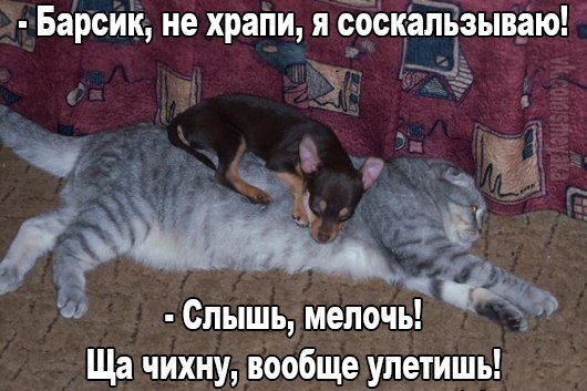 Картинок всяких