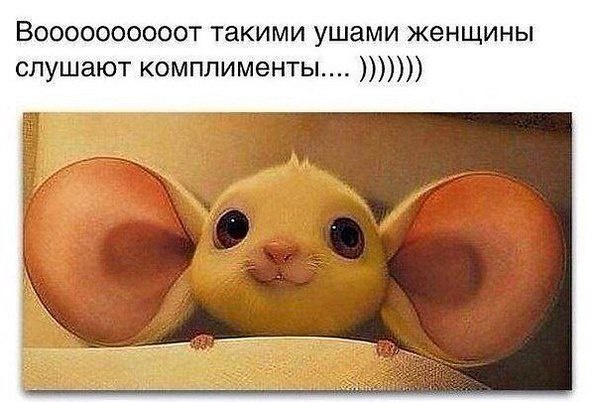 Просто 40   фоток....