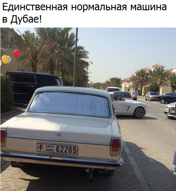 Подборка безудержного веселья