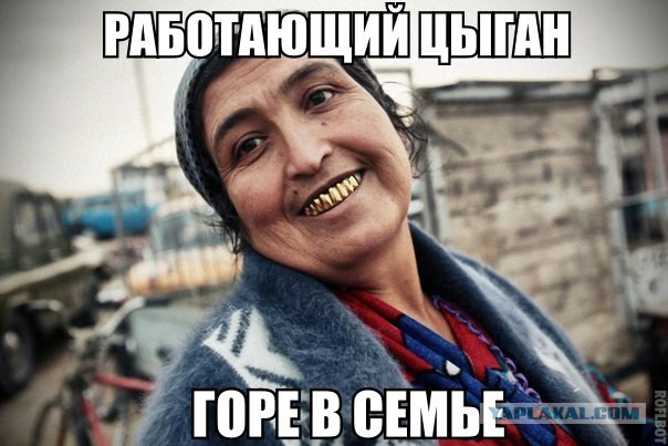 Суд в Гааге обязал Россию выплатить 5,4 миллиона евро за задержание судна с активистами Greenpeace