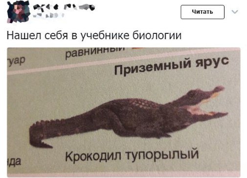 Картинки из интернетов