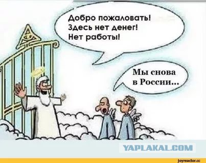 Беседка ФиС ЯПа 2