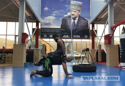 Александру Емельяненко подарили автомобиль после его досрочной победы над американцем Вирджилом Цвикером