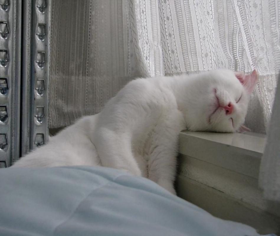 Не хочется вставать по утрам. Проснулась хочу есть что это. Я с утра прикол. Не хочу вставать. Уже утро.