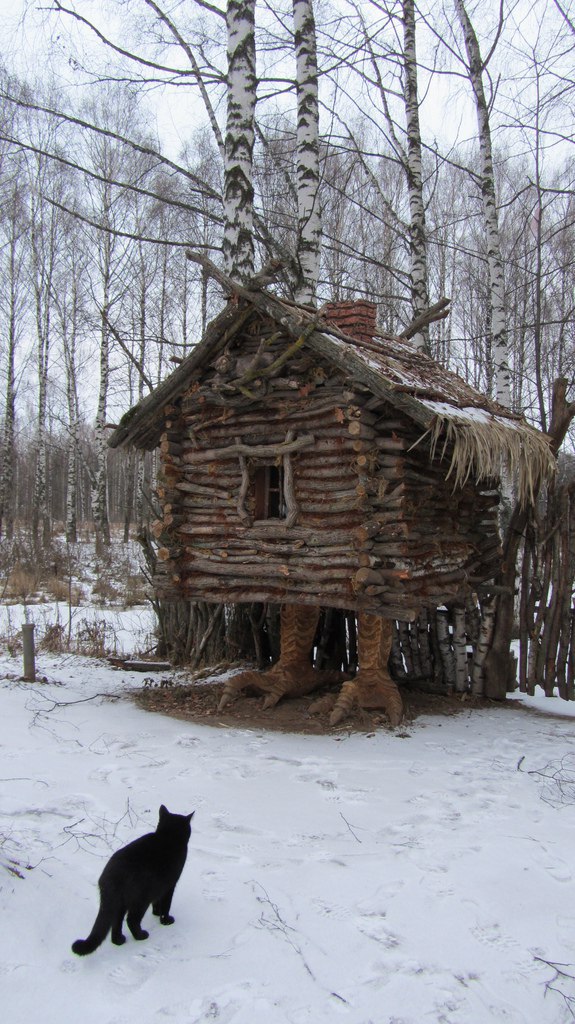 Кот без прикрас