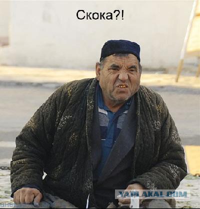 Продам Пчаки