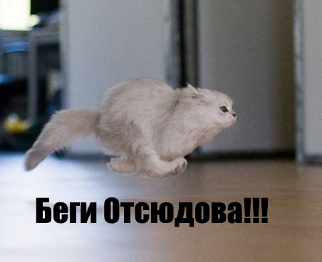 Трехцветное счастье