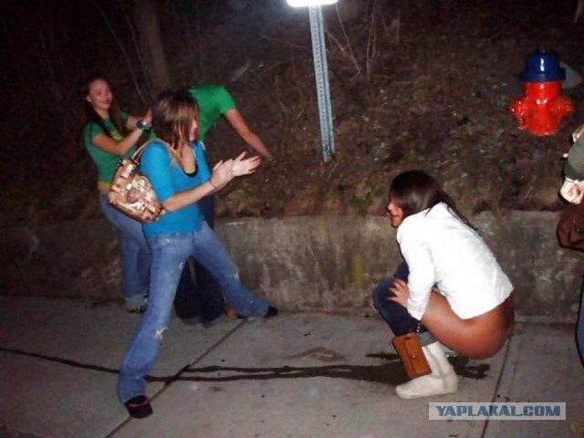 Скотсети и прочие интернеты 04.03.19