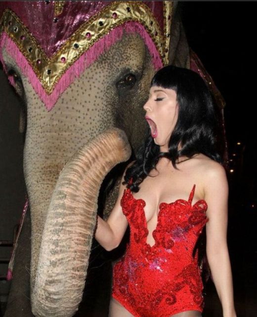 Скотсети и прочие интернеты 04.03.19