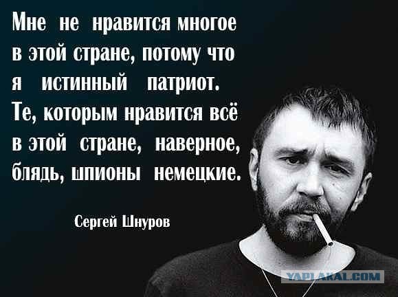 Шнур выступил в комитете Госдумы по культуре
