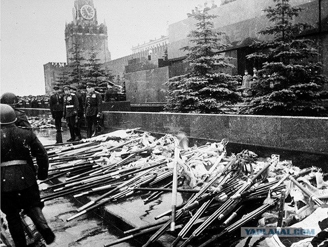 Тут девушка объясняет, почему георгиевскую ленточку неправильно назвали