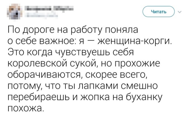 Пост весёлых картинок