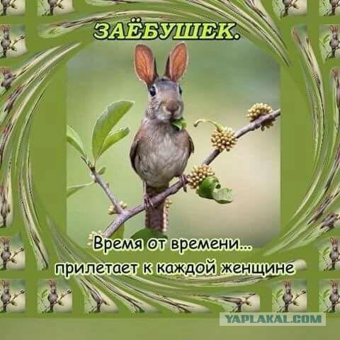 О женщины...