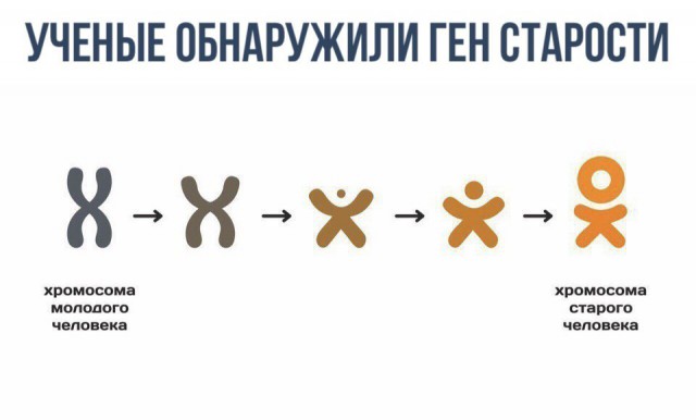 Бредзона в картинках 26.11.2019