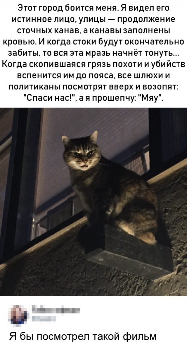 Немного картинок для настроения 05.03.20