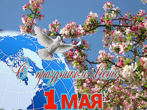 Пандемия. Коронавирус. Россия и мир. Последняя информация. Часть 14