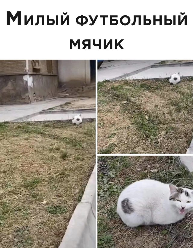 Чуток картинок 27.07.20