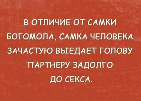 Чуток картинок 31.07.20