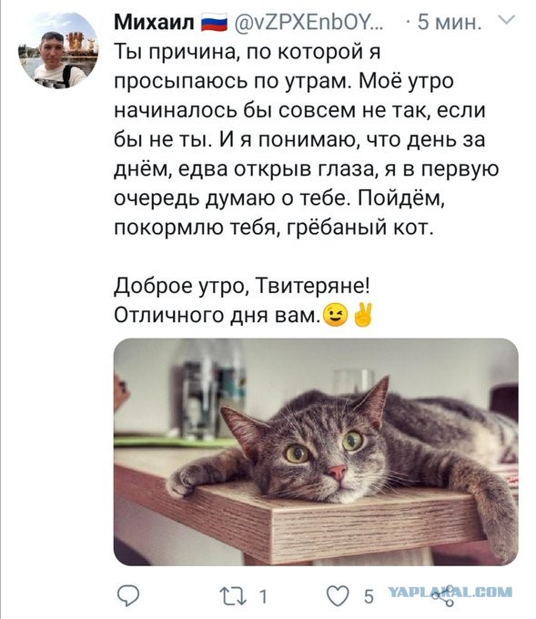 Бредзона 16.08.20