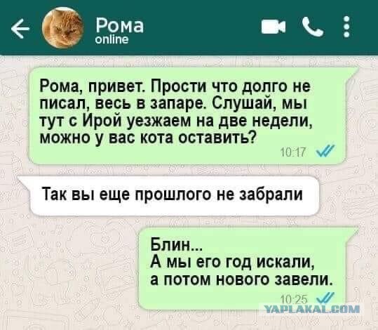 Бредзона 09.09.2020