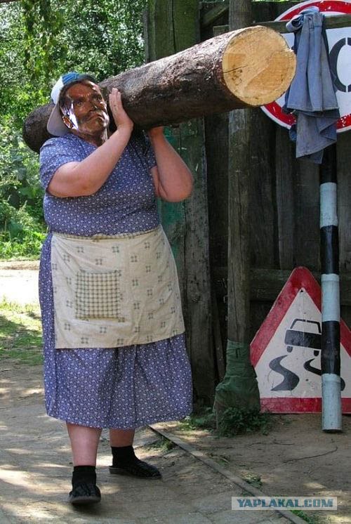 фотожаба: с бревном
