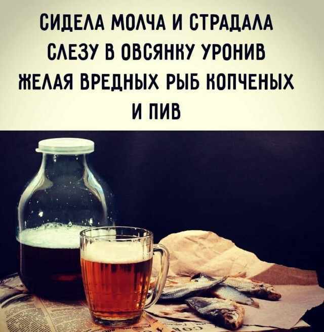 Фотки и картинки: юморные и красивые, забавные и милые 16.11.20