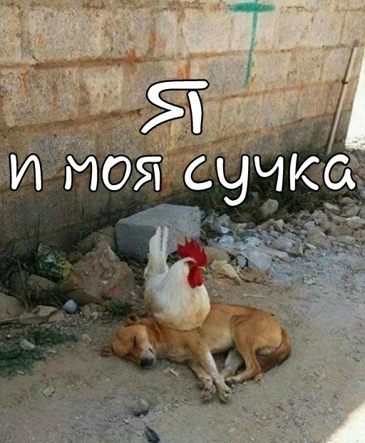 Фото из разряда "шо здесь происходит"?