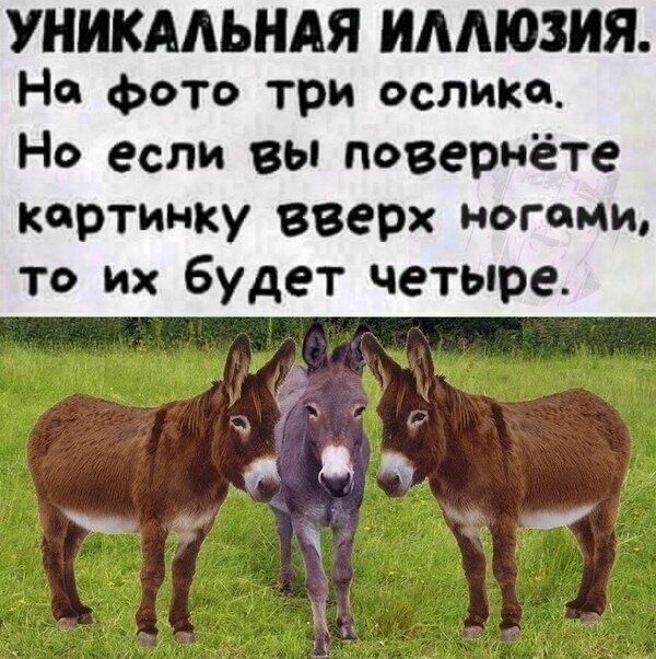 Картинки и мемы для настроения 009