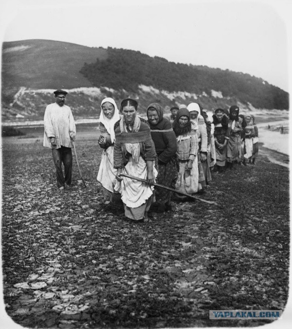 Костюмированный бал Романовых - фотографии 1903 года в цвете