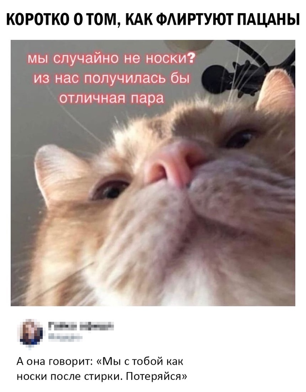 Весёлый полтишок 1.03