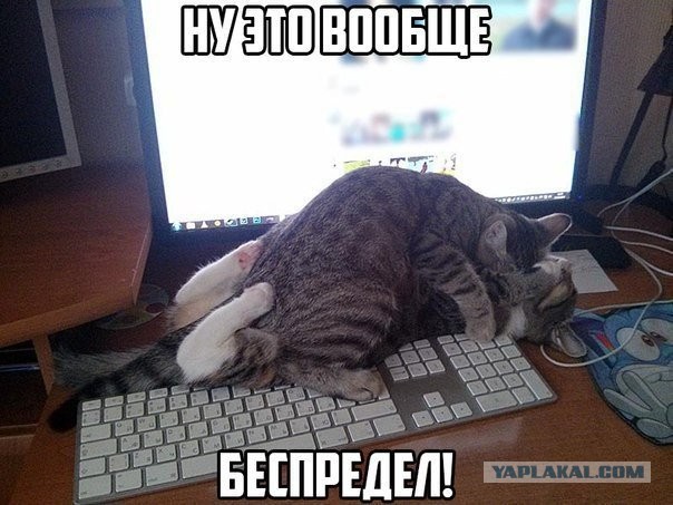 Весёлый полтишок 10.03