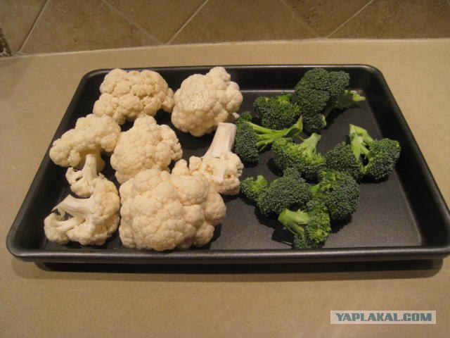 Капуста International, Наступила осень, отцвела капуста...