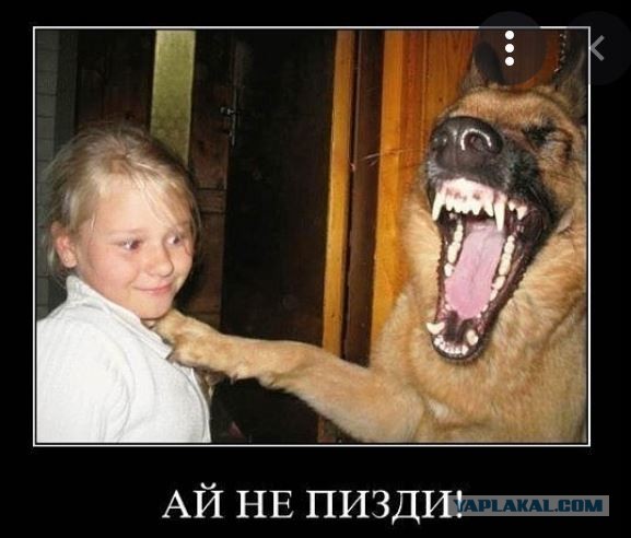 Я б....ь беременная! Тебя петухом сделают! Понял б...ь!