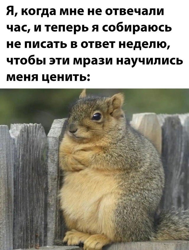 Так себе картинки 14.11.21