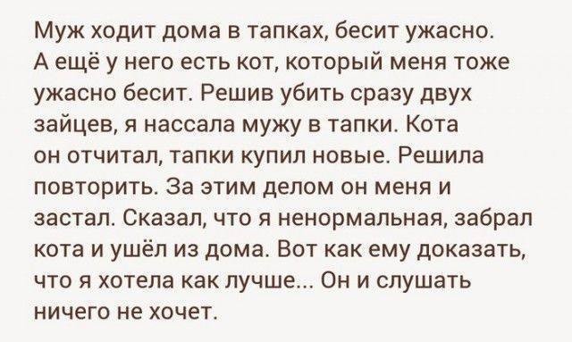Что делать, если муж больше любит кошку?
